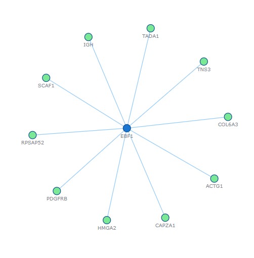 EBF1 partners